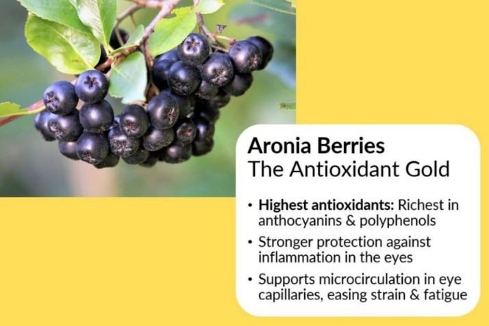 aronia berries