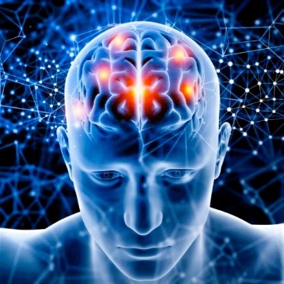 blue brain