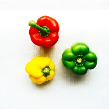 capsicum