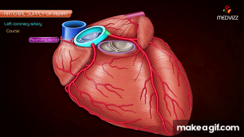 heart gif