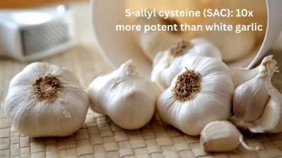white garlic