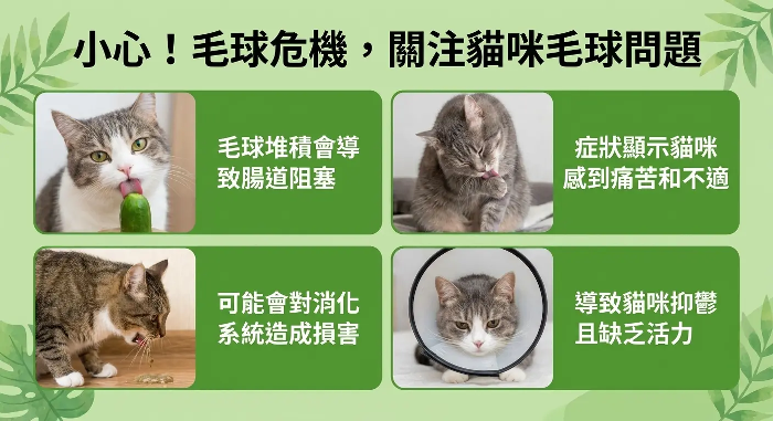 详情图_5.png