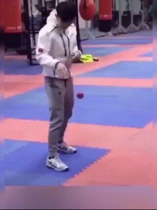 xq_11.gif