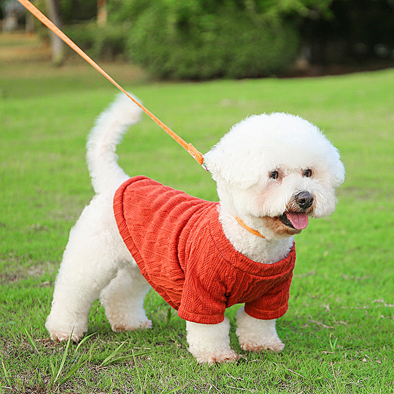 New products launched