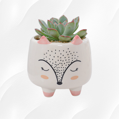 Elegant Ceramic Flower Vase