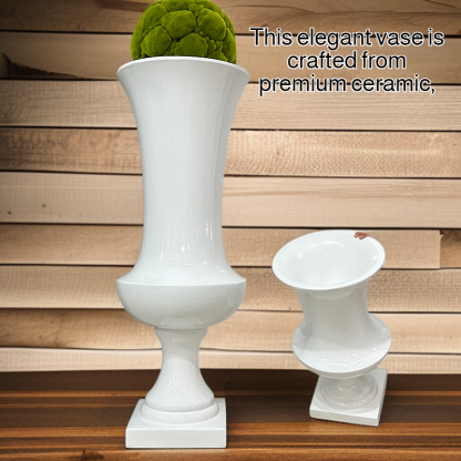 Elegant Ceramic Vase for Home Decoration