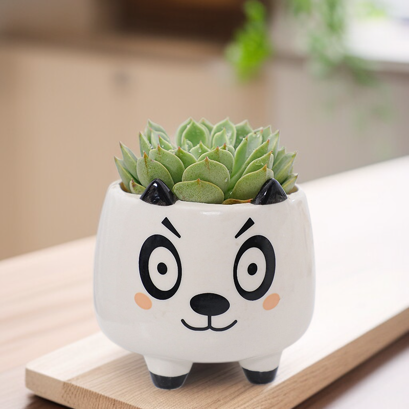 Elegant Ceramic Flower Vase