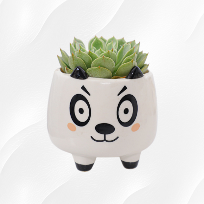 Elegant Ceramic Flower Vase