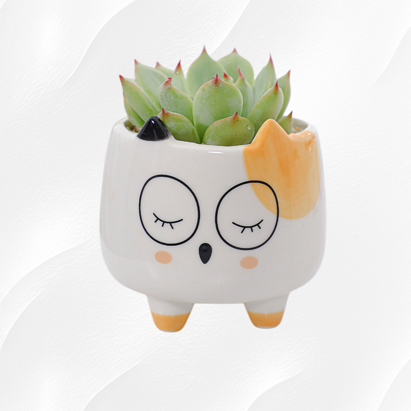 Elegant Ceramic Flower Vase