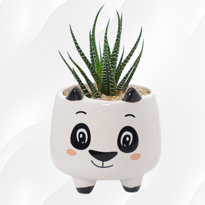 Elegant Ceramic Flower Vase