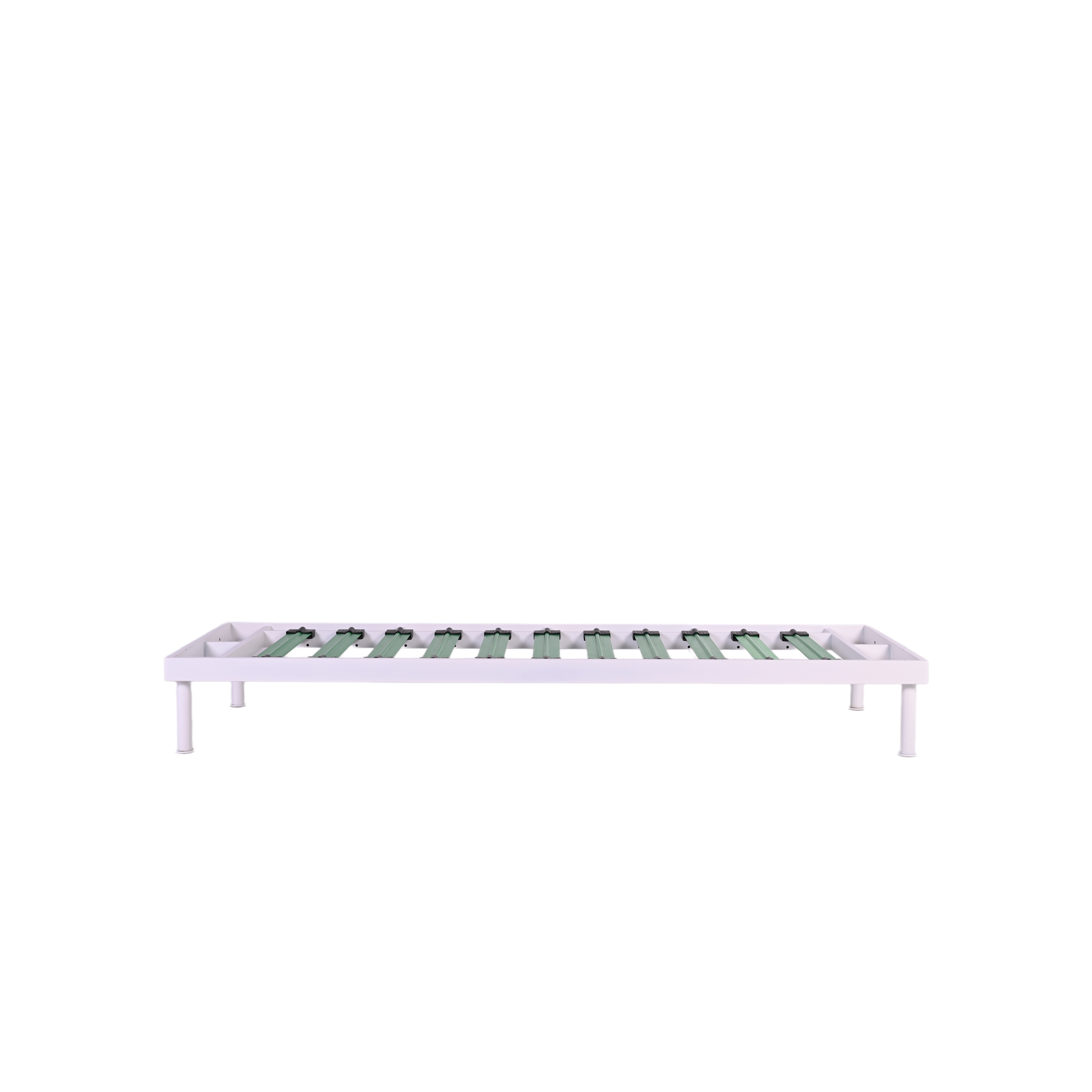 SF1036