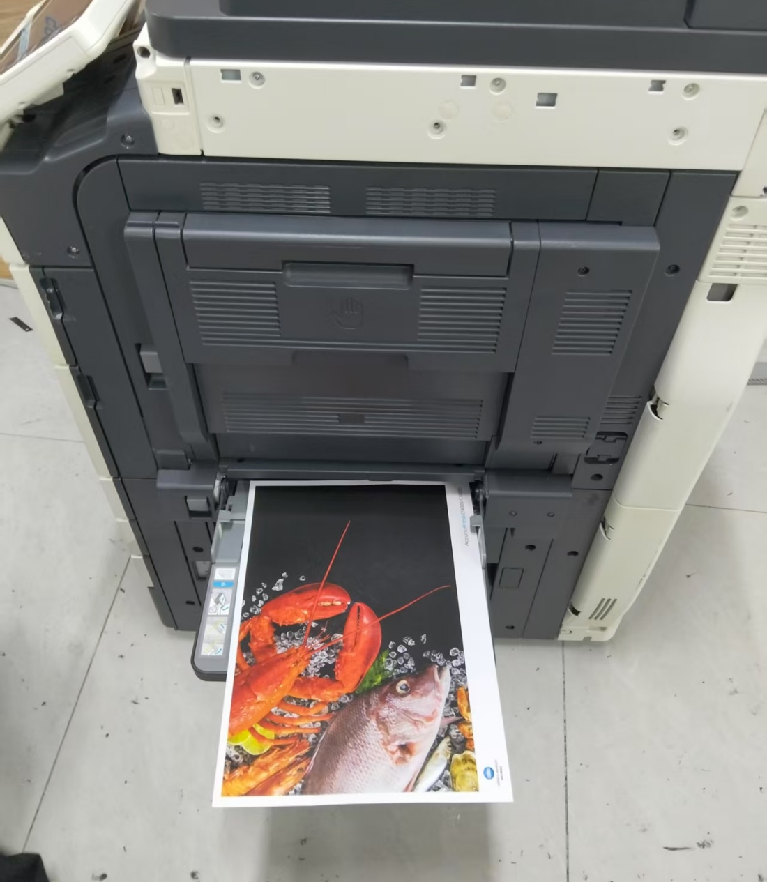 refurbished Konica Minolta Bizhub C558 photocopay machine