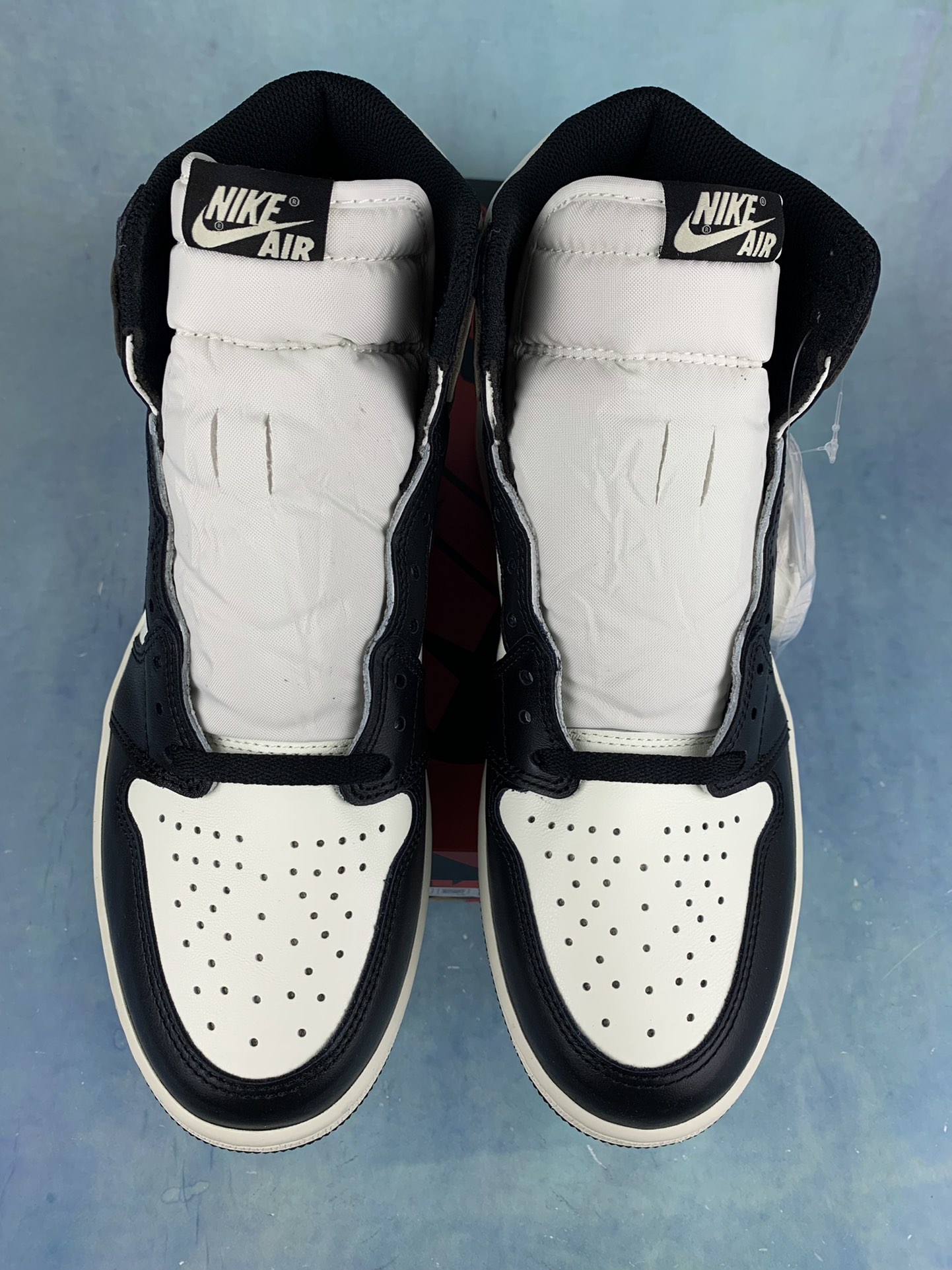 Nike Air Jordan 1 High OG "Sail/Dark Mocha/Black"