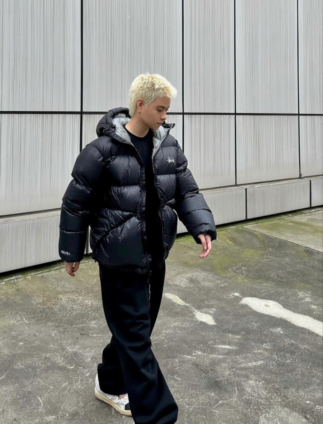 Stussy Micro Ripstop Down Parka