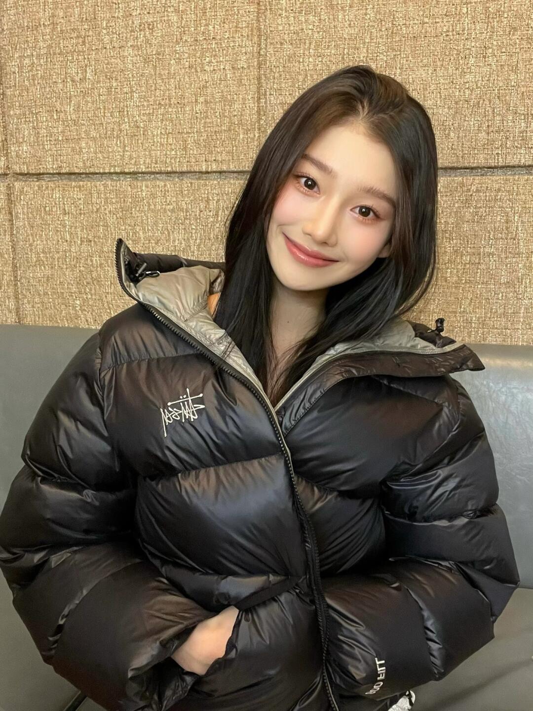 Stussy Micro Ripstop Down Parka