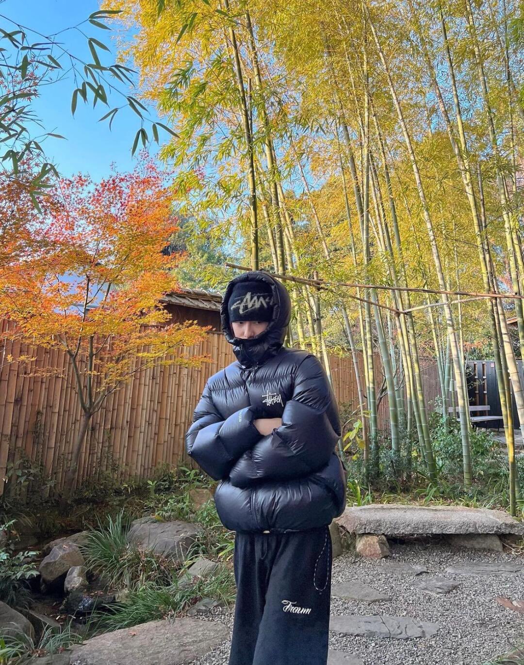 Stussy Micro Ripstop Down Parka