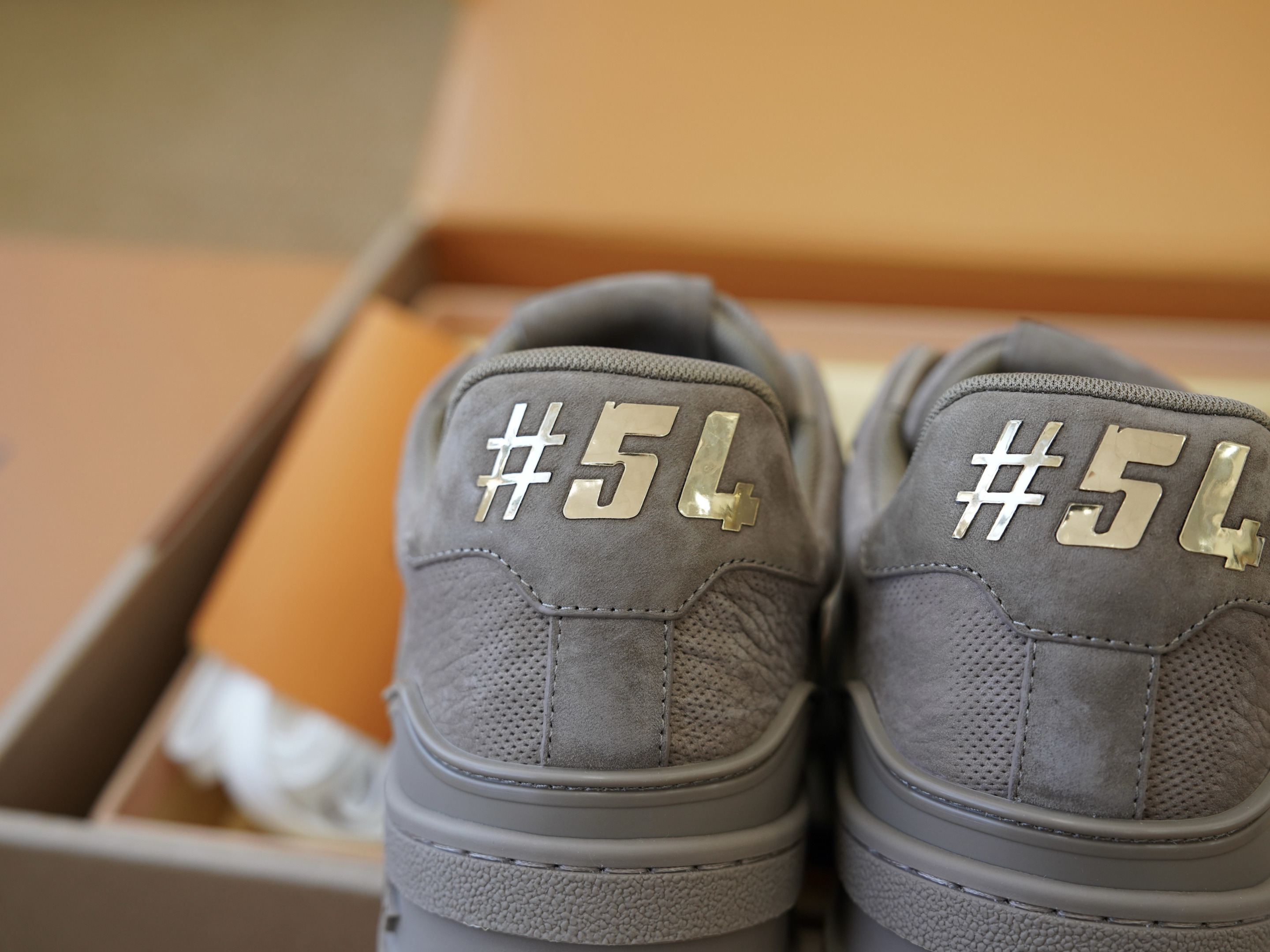 1AHCWR LV Trainer Sneaker