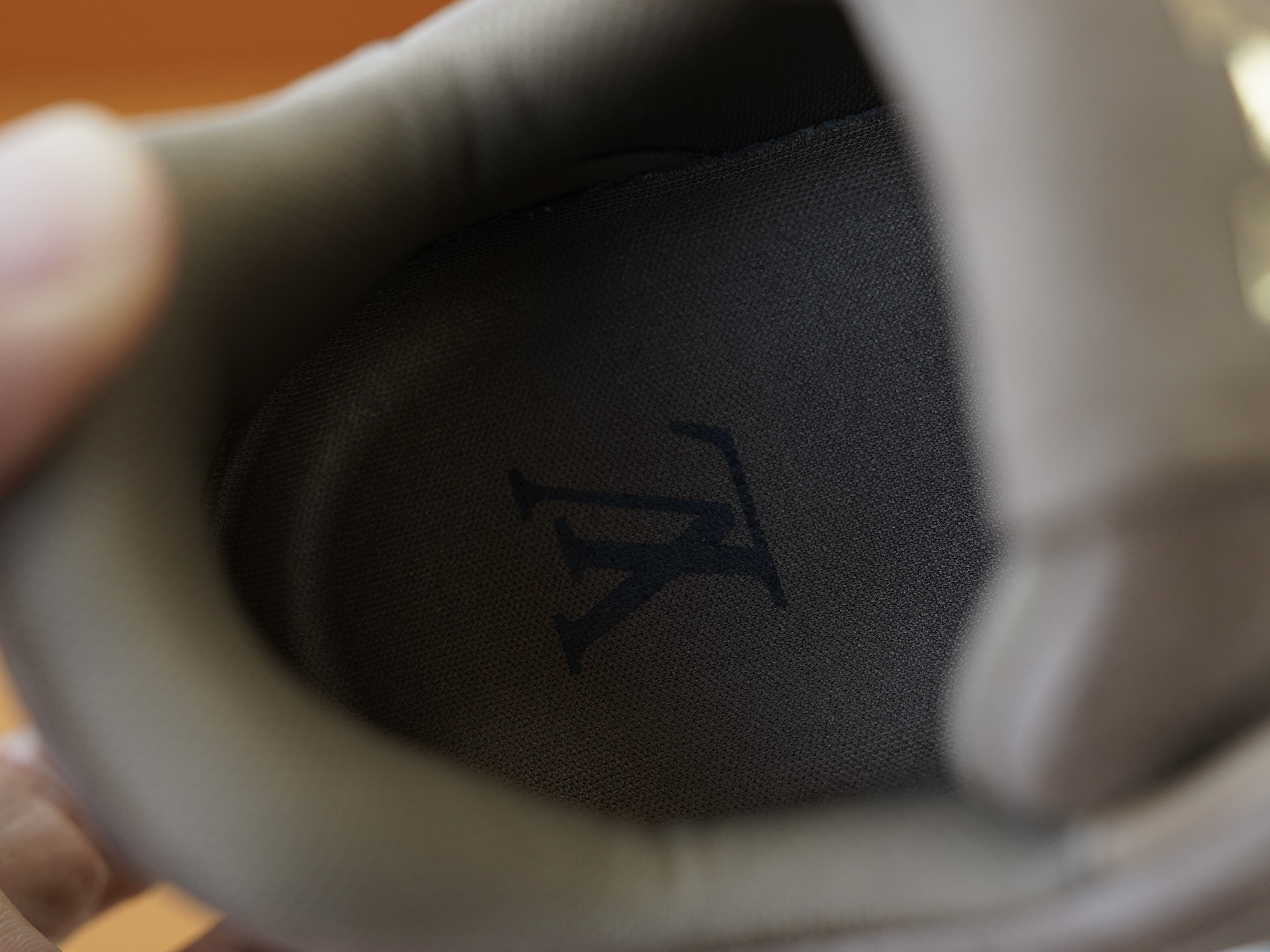 1AHCWR LV Trainer Sneaker