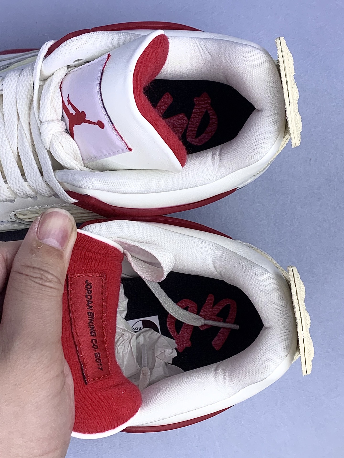 Nigel Sylvester × Nike Air Jordan 4 "Cinnabar"