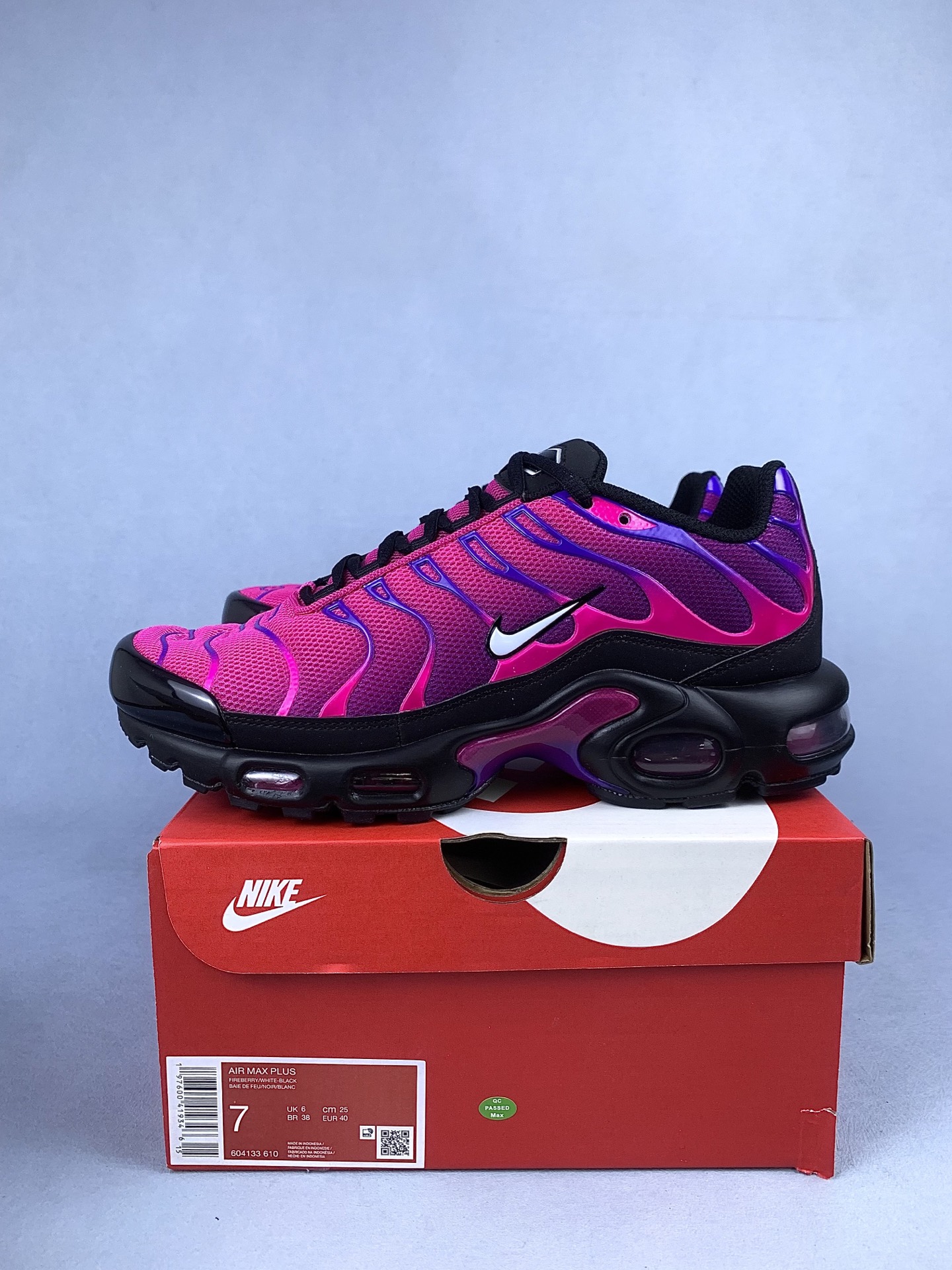 Nike Air Max Plus "Rebellious Air"