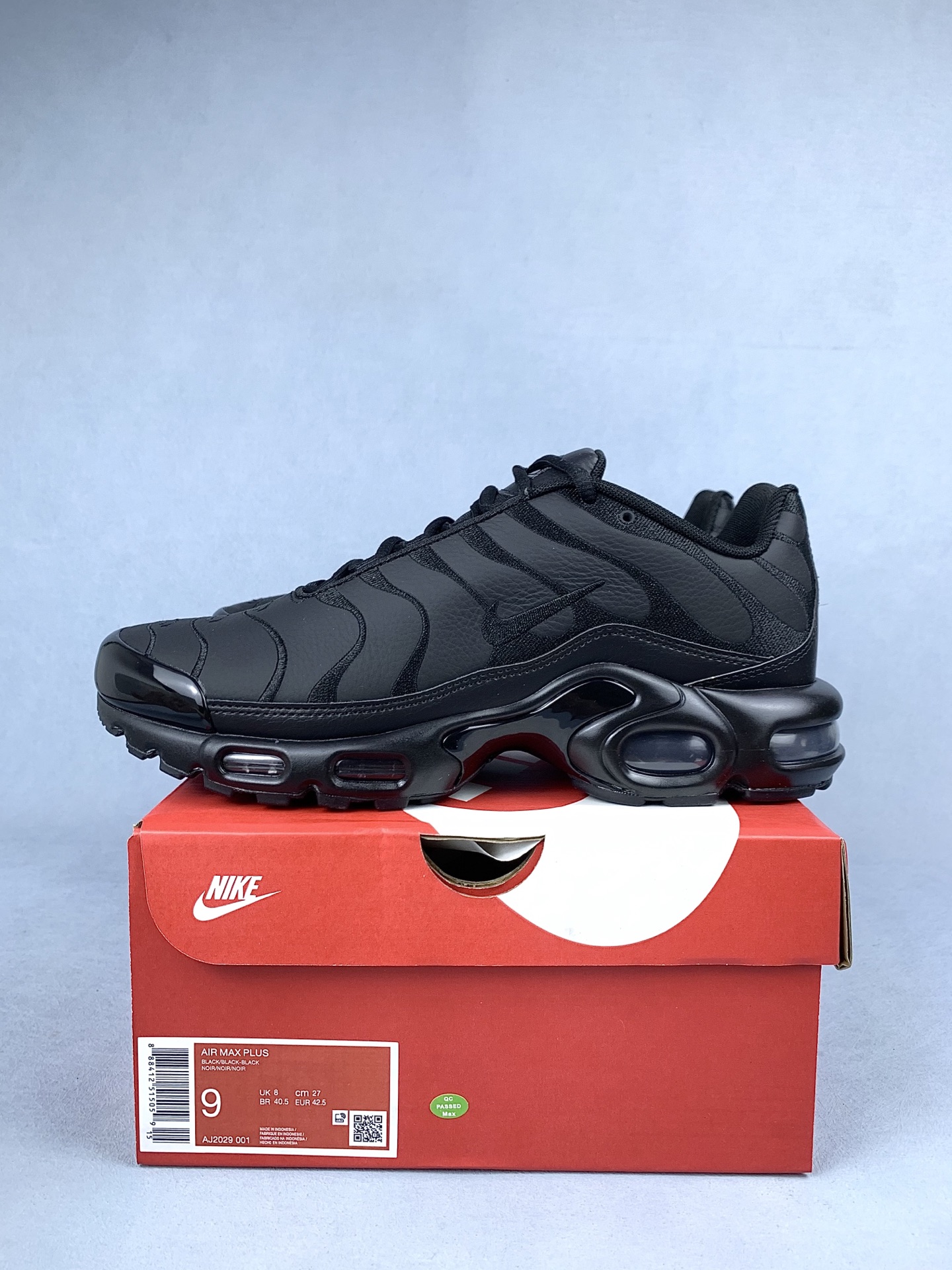Nike Air Max Plus "Triple Black" AJ2029-001