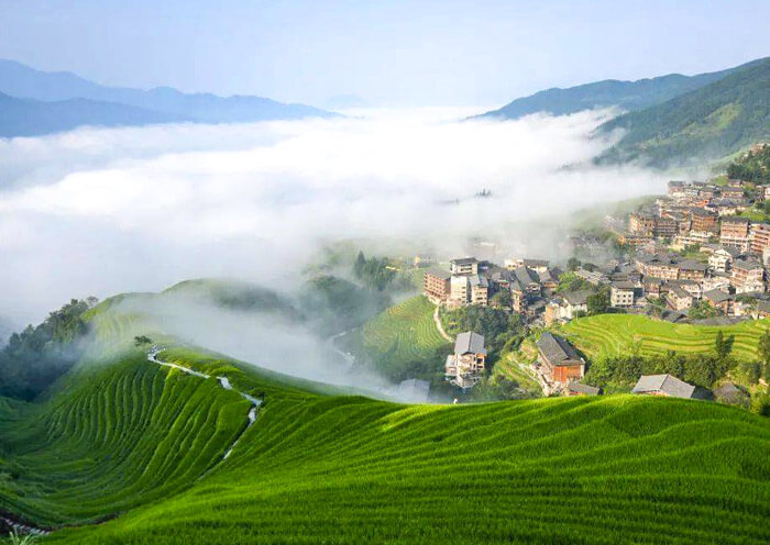The verdant Longji Rice Terraces