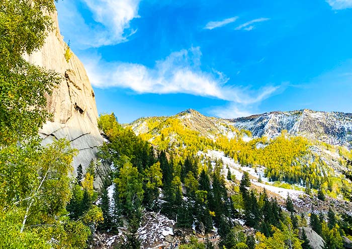 Keketuhai-Birch Forest