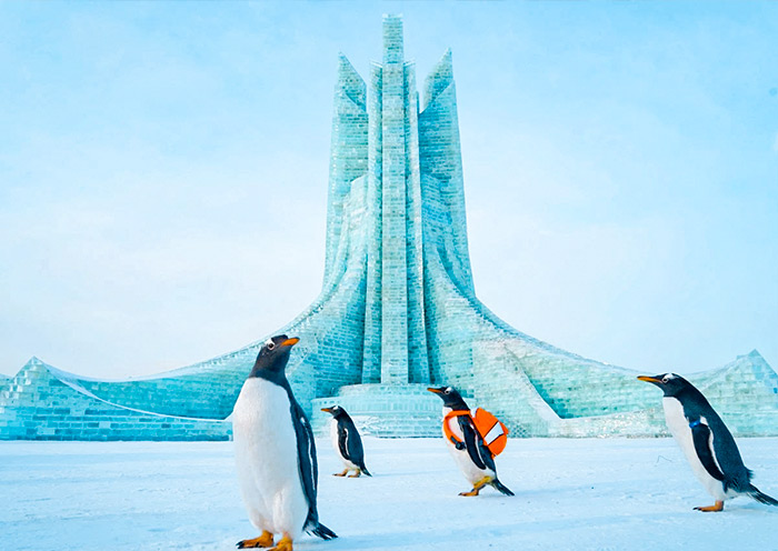 Harbin Polar Park
