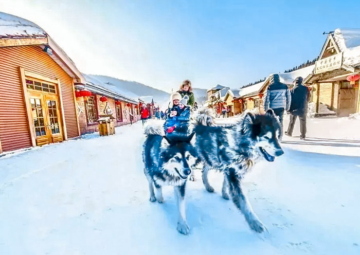 China Snow Town - Dog Sledding