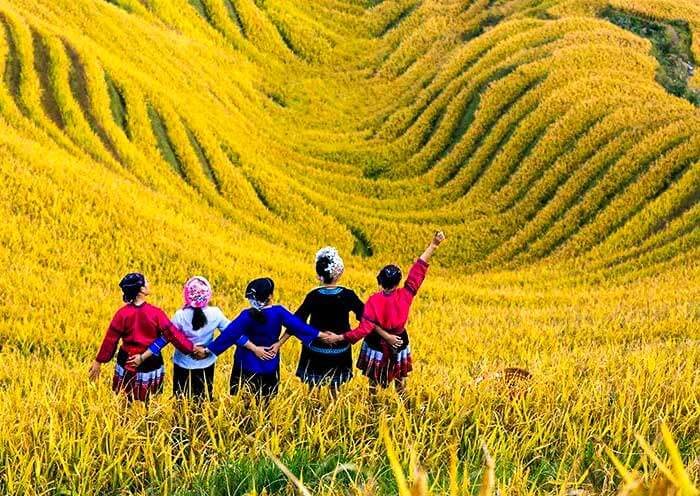 Longji Rice Terraces