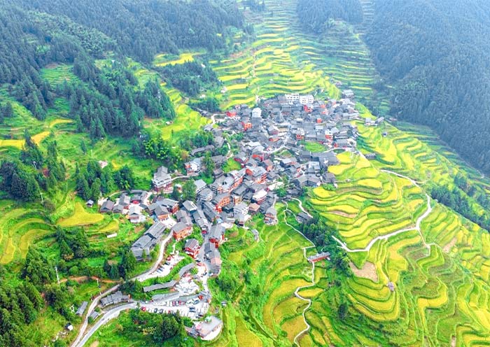 Terraced fields in Tang'an Dong Village, Guizhou