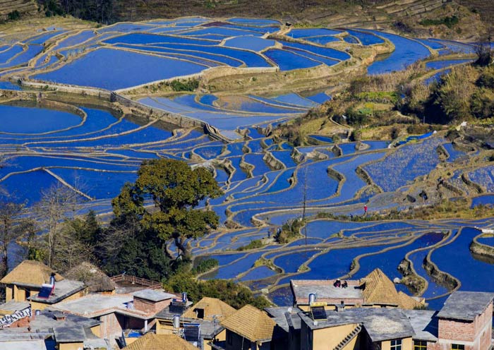 Yuanyang Terraces - Aichun Blue Terraces