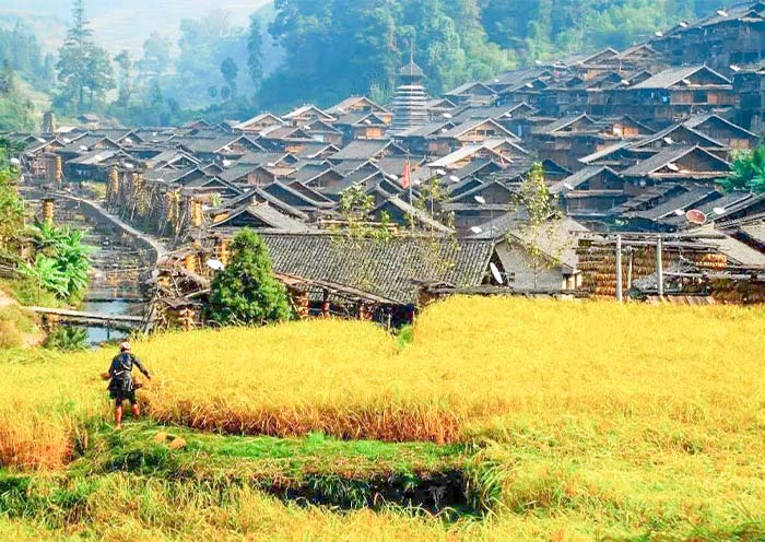 The stunning autumn scenery of Zhanli Dong Village