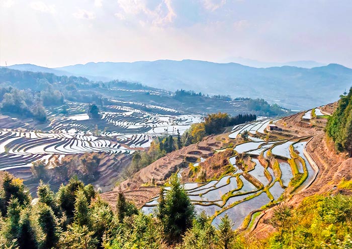 Yuanyang Terraces