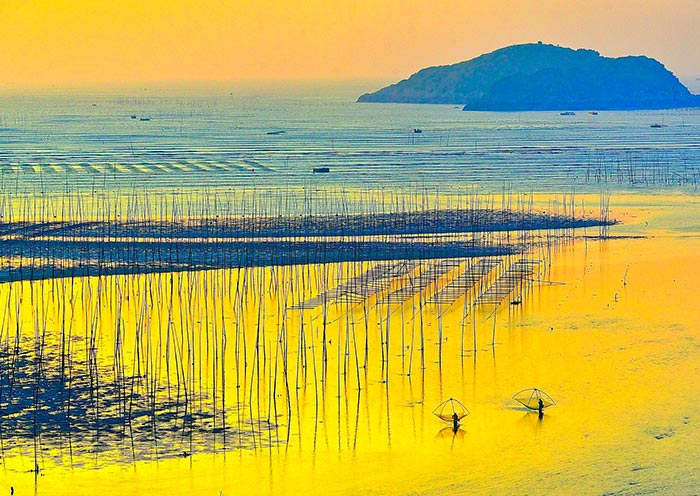 The magnificent and colorful mudflat scenery of Beiqi, Xiapu, Fujian