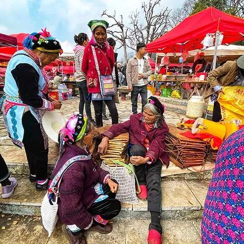 云南全景 | 昆明元阳建水大理丽江香格里拉12日游