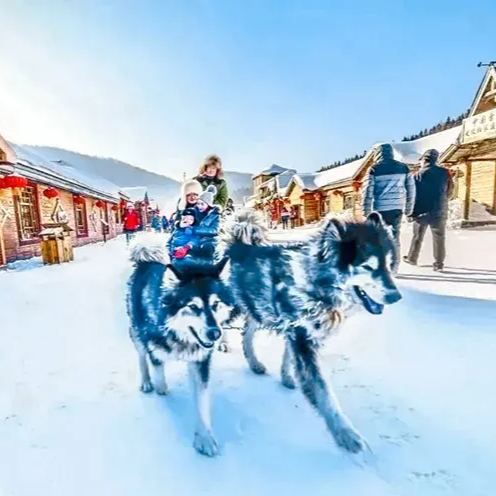 雪域狂欢 | 哈尔滨精华6日游