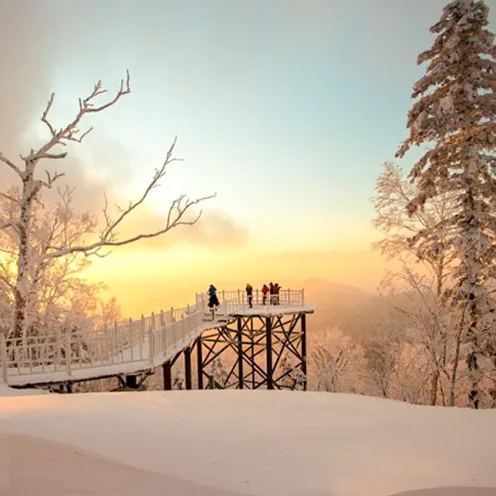 雪域狂欢 | 哈尔滨精华6日游