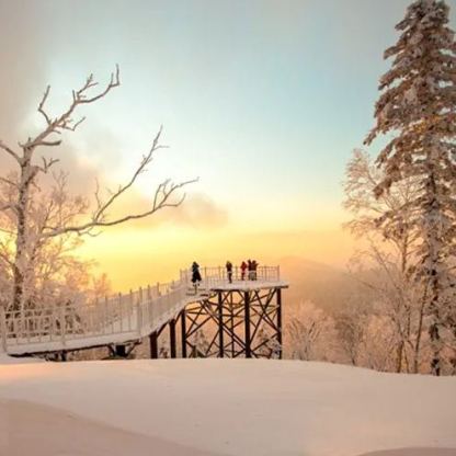 雪域狂欢 | 哈尔滨精华6日游