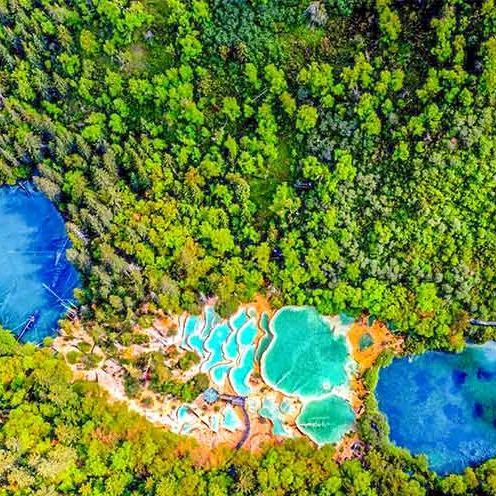 成都出发 | 成都+乐山大佛+峨眉山+熊猫基地经典4日游