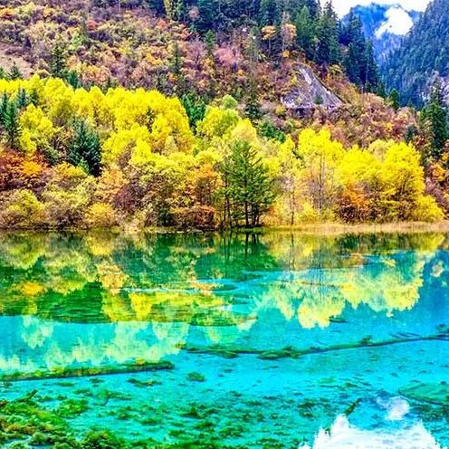 成都出发 | 成都+乐山大佛+峨眉山+熊猫基地经典4日游