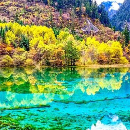 成都出发 | 成都+乐山大佛+峨眉山+熊猫基地经典4日游