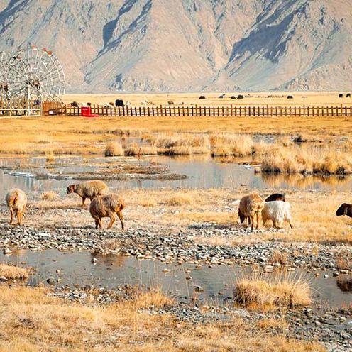 北疆小环线 | 新疆8天7晚精华游