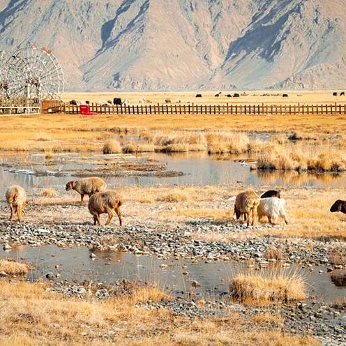 北疆小环线 | 新疆8天7晚精华游