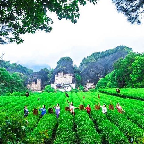 行摄闽南 | 厦门鼓浪屿+福建客家土楼+霞浦滩涂摄影7日游