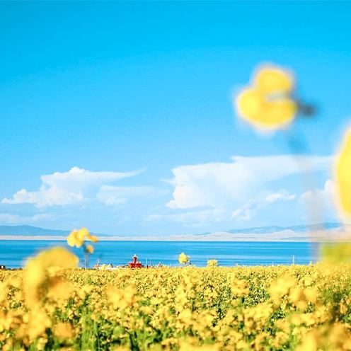 畅游青海 | 青海西宁+青海湖+茶卡盐湖+中国藏医药文化博物馆精华4日游