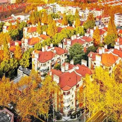 新旧上海交融 | 上海经典3日游