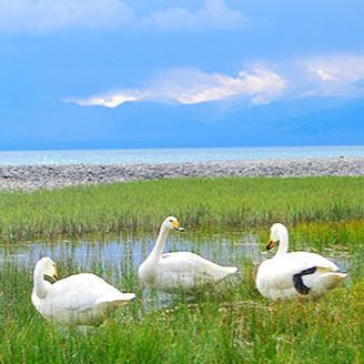 北疆全景环线10日游，带您深度畅玩北疆地区