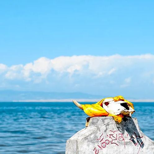 醉美纯玩小团-7天6晚青甘大环线