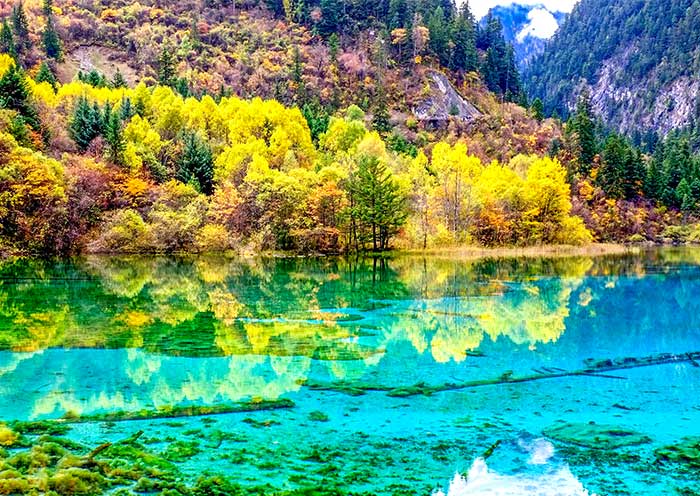 The picturesque Jiuzhaigou